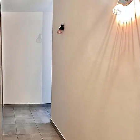 Studio Spacieux * 布龙